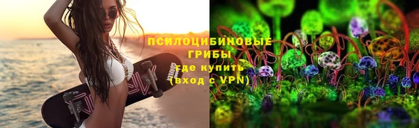 PSILOCYBIN Гусиноозёрск