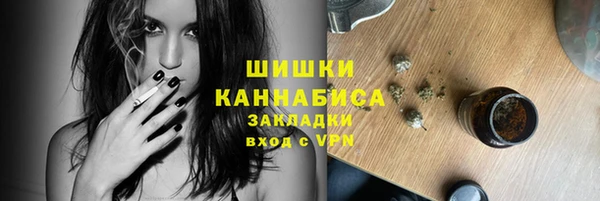 спиды Гусев