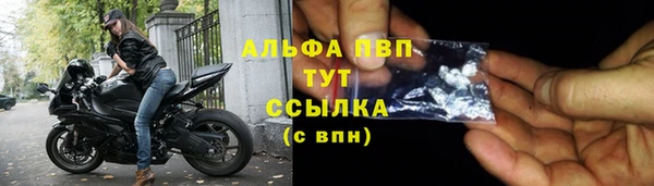 спиды Гусев