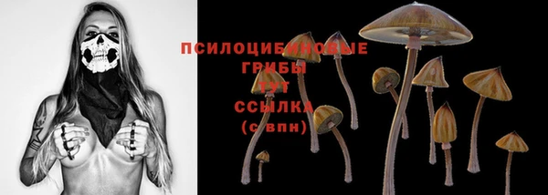 спиды Гусев