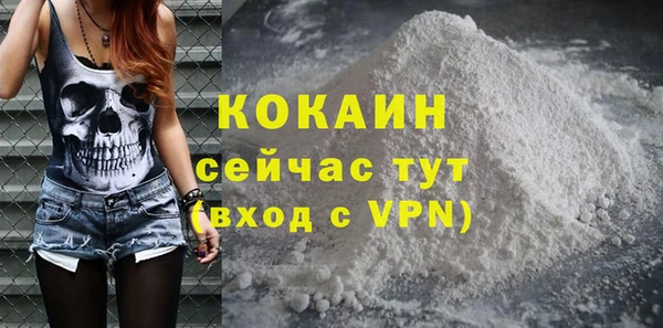 PSILOCYBIN Гусиноозёрск