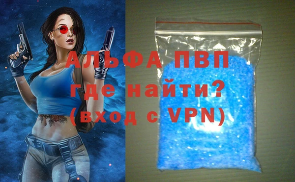 PSILOCYBIN Гусиноозёрск