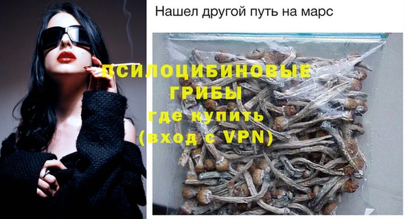 спиды Гусев