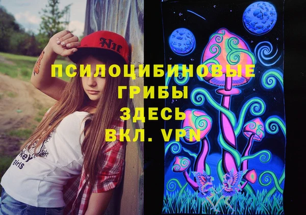 спиды Гусев