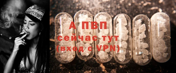 PSILOCYBIN Гусиноозёрск