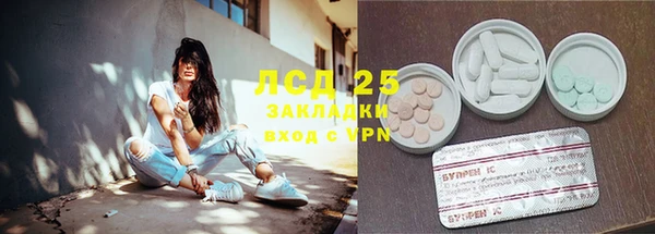 спиды Гусев