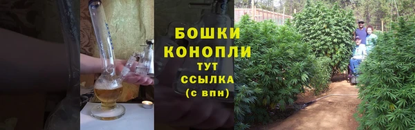 MESCALINE Гусь-Хрустальный